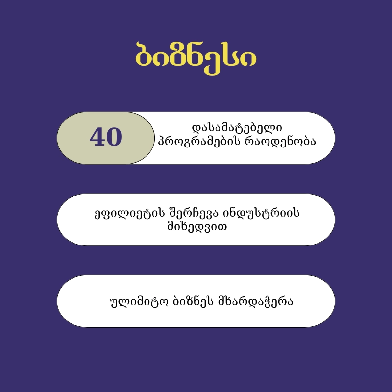 1000 ₾ ბიზნესი