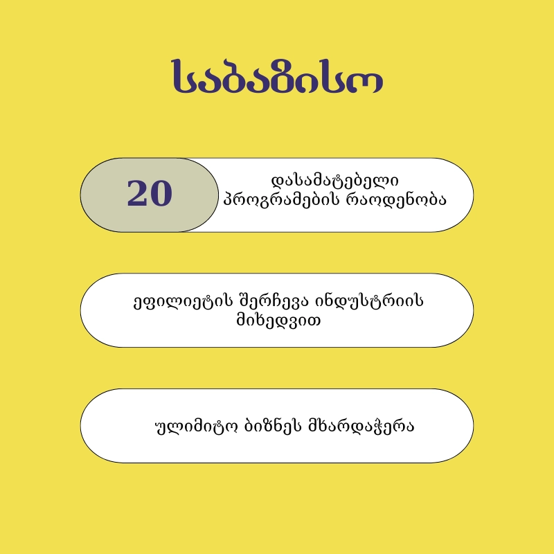 500 ₾ საბაზისო